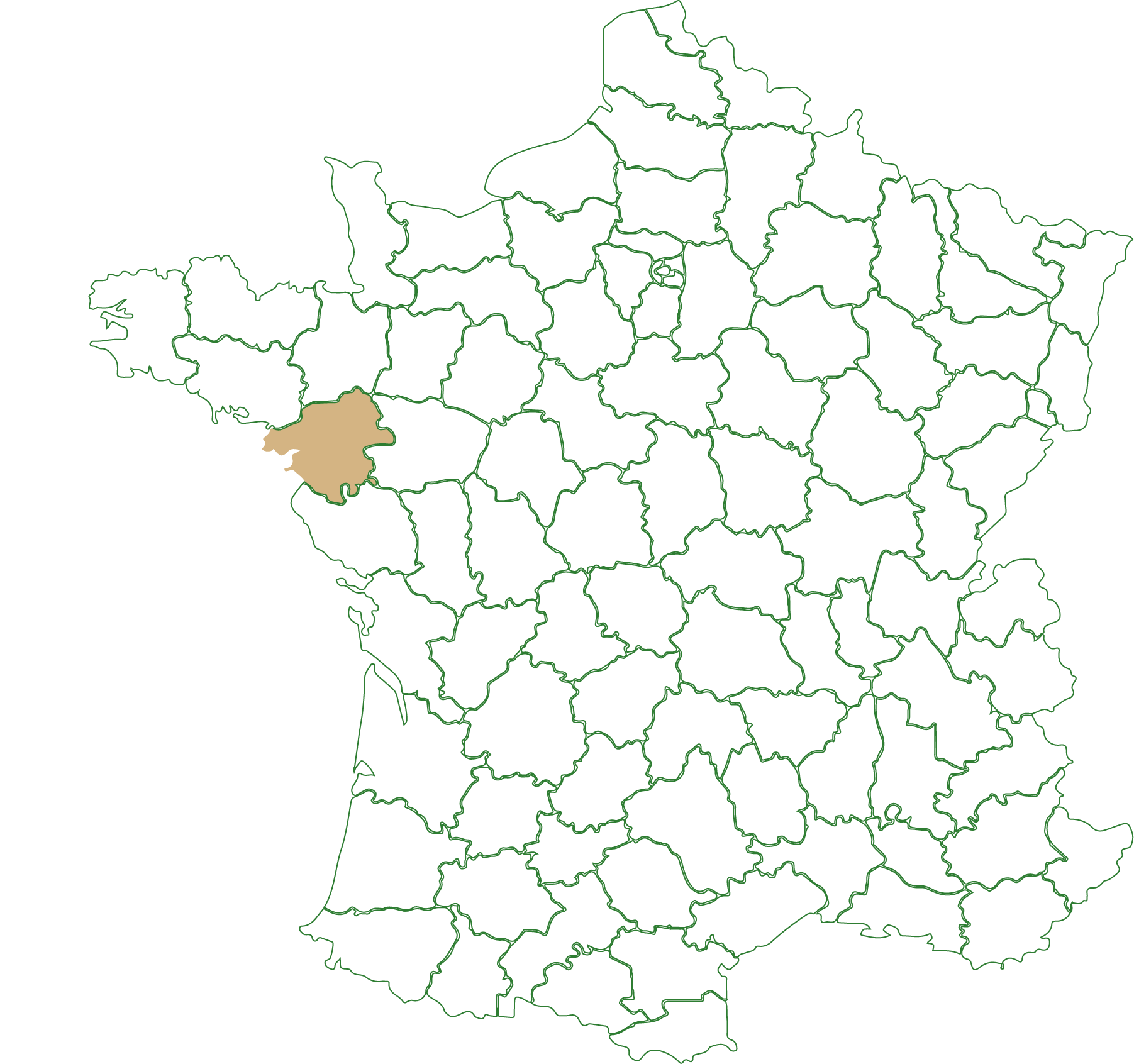 Image du site